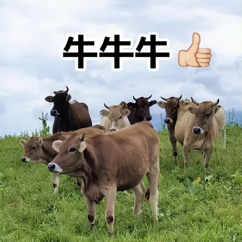 初中物理奧賽培訓(xùn)