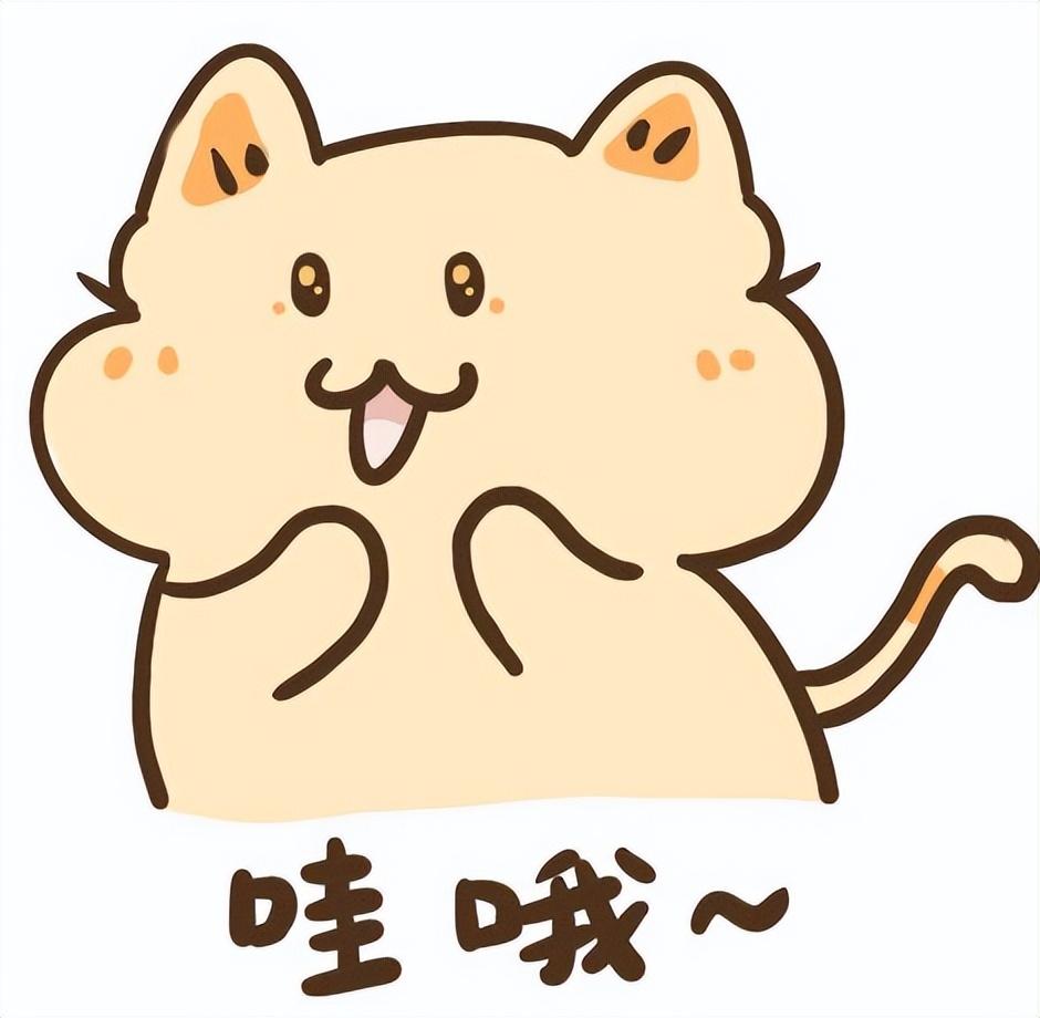 初中物理奧賽培訓(xùn)