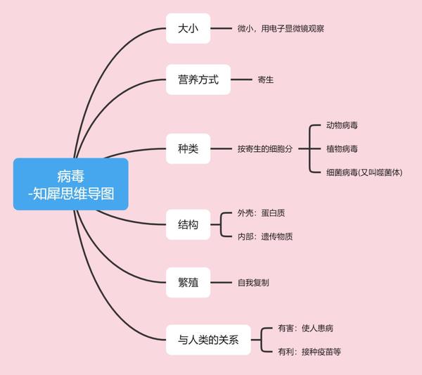 初中物理-思維導圖