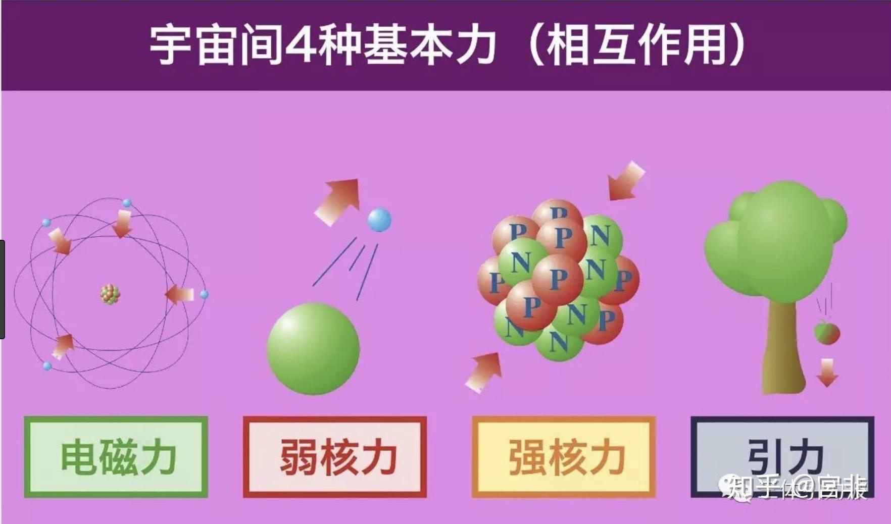 作用力與反作用力
