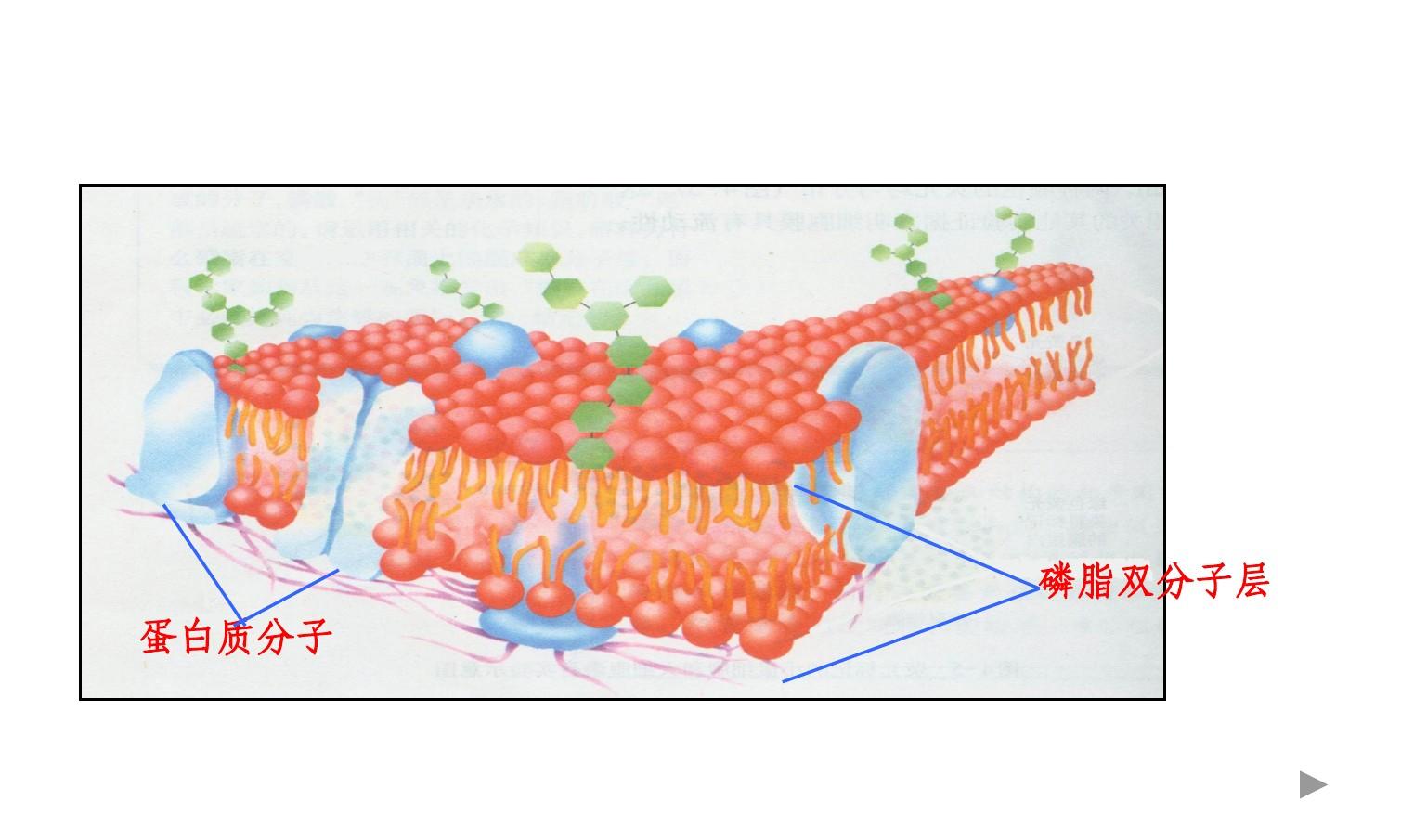 高中物理擴散現象