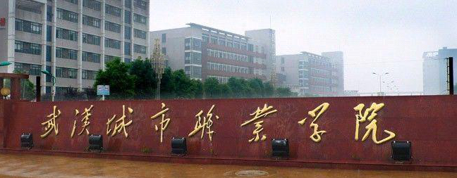 湖北科技職業學院分數線