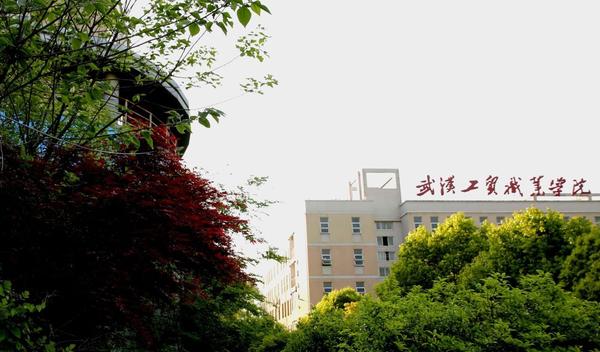 湖北科技職業學院分數線