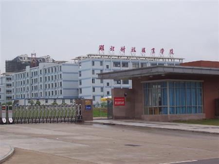 湖北科技職業學院分數線