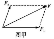 高中物理彈力分析