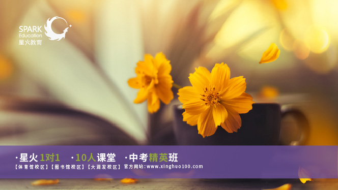 初中物理分層教學