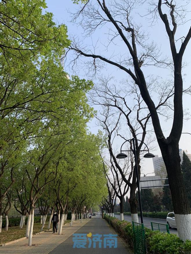 中學(xué)學(xué)科網(wǎng)物理學(xué)科網(wǎng)