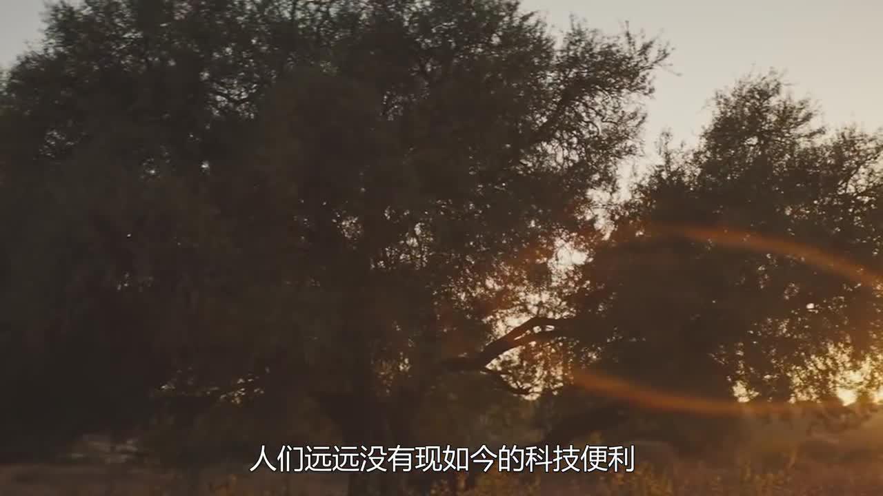 跟我學物理網視頻全集