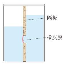如圖所示電梯的頂部掛有一個彈簧測力計