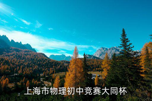 上海市物理初中競賽大同杯
