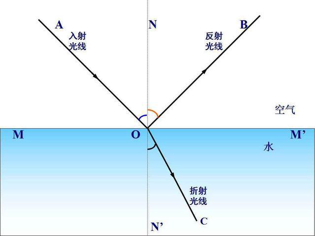 橫波和縱波