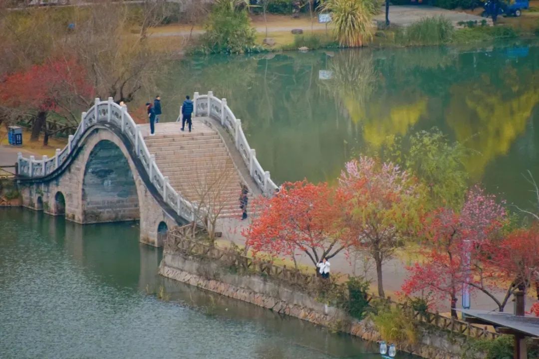 2024年福建高考分數線