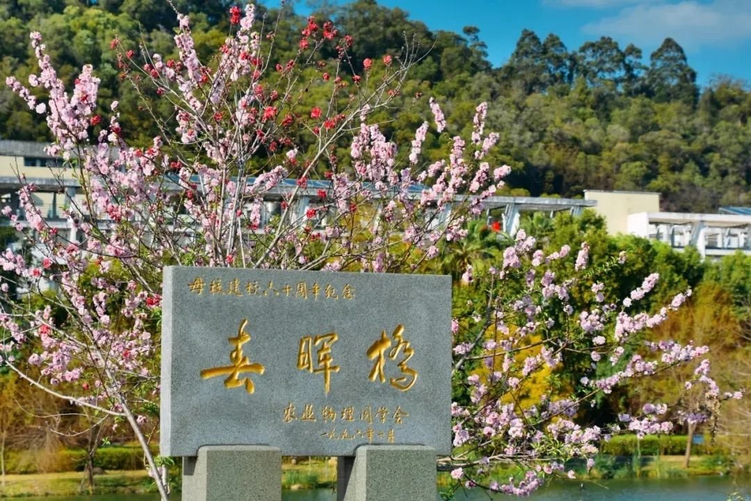 2024年福建高考分數線