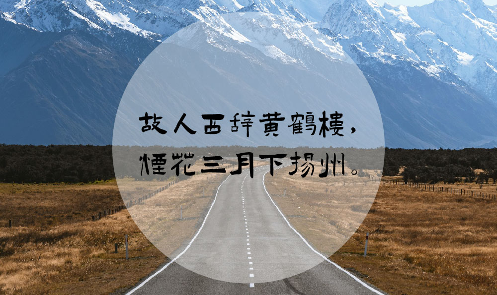丁香結主要內容