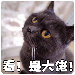 物理學家的照片