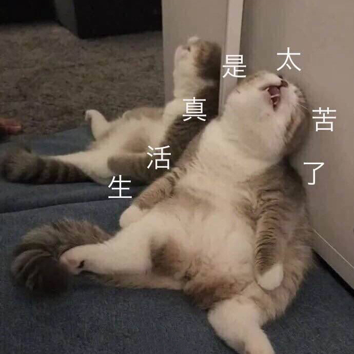物理學家的照片