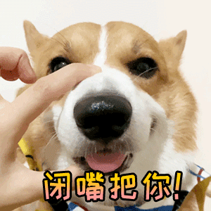 物理學家的照片