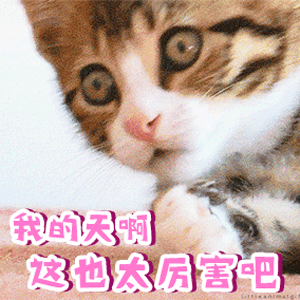 物理學家的照片