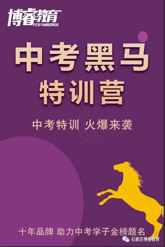 石家莊教育考試網