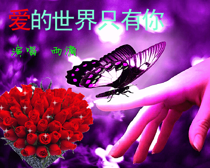 高中物理動態圖