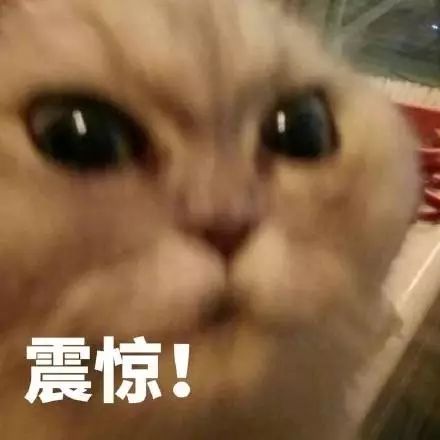 31屆全國物理競賽