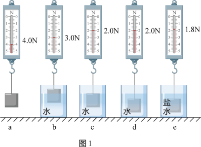 高中物理彈性問(wèn)題公式