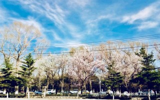 長春工業大學信息安全專業學費,長春工業大學收費標準