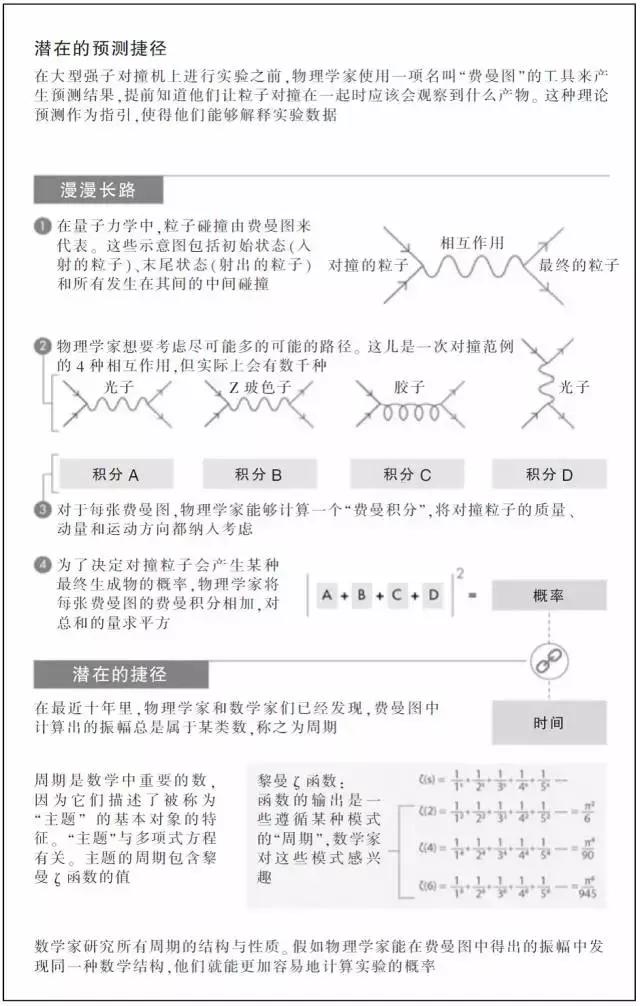 物理學家揭秘粒子對撞中的神秘數字