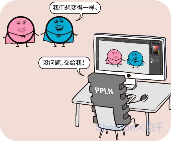 圖片
