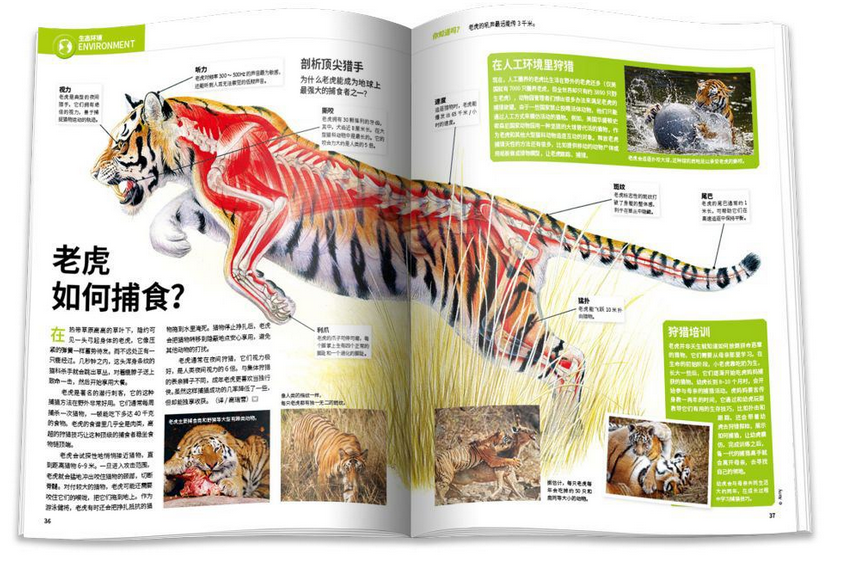高中物理科學家