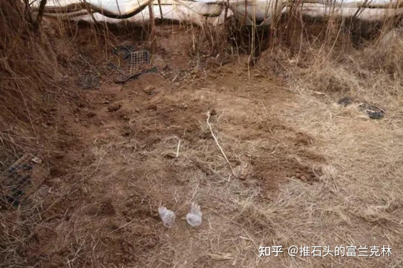 物理競賽 高考
