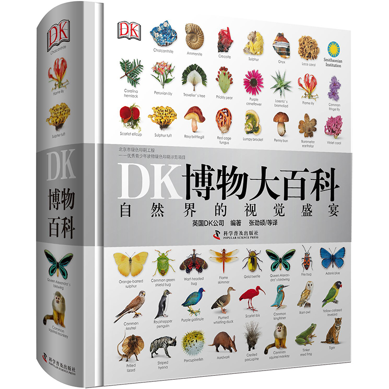 初中物理小游戲