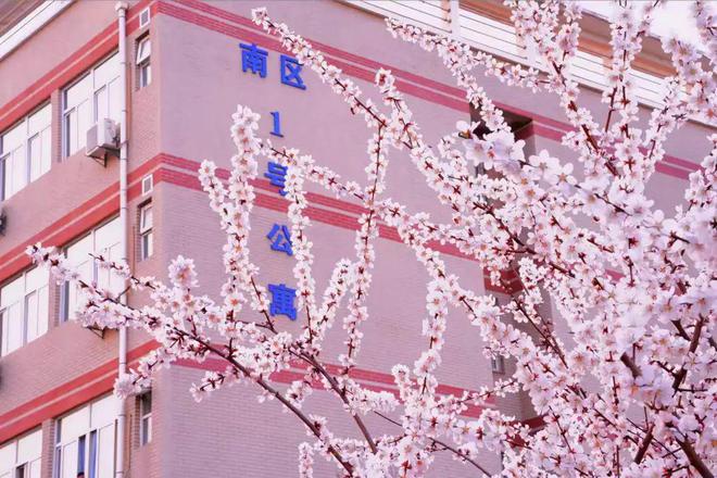 湖南考試院官網(wǎng)