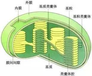 高中物理導線切割實驗視頻