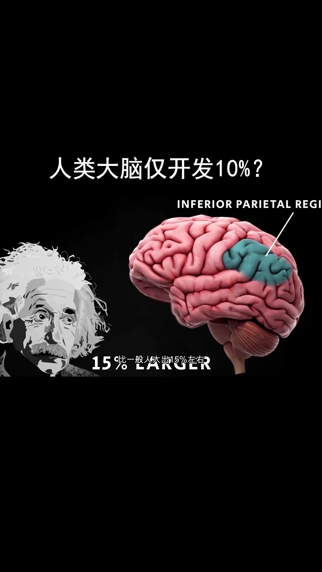 愛因斯坦的大腦