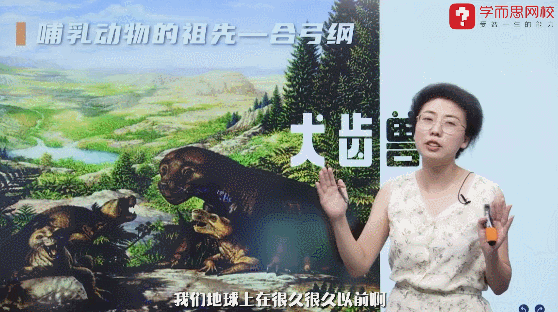 1299初中物理網(wǎng)
