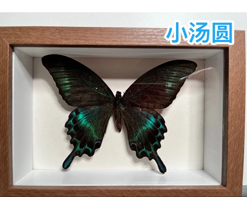 1299初中物理網(wǎng)