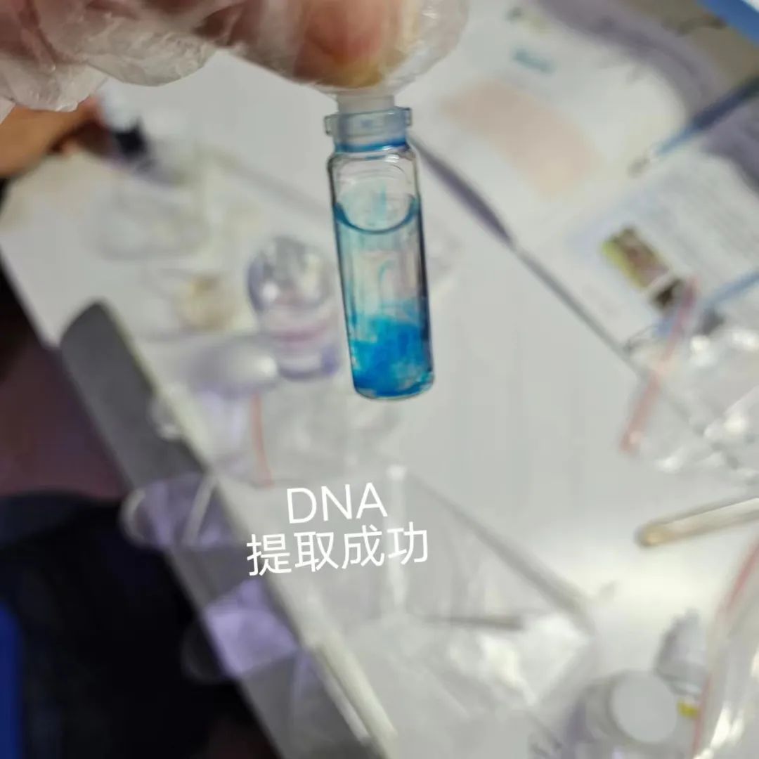 1299初中物理網(wǎng)