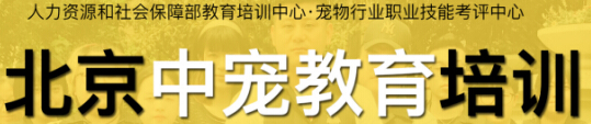 【行業(yè)排名榜】全國(guó)排名前十的寵物美容師培訓(xùn)學(xué)校