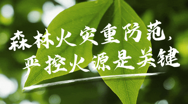 八一中學