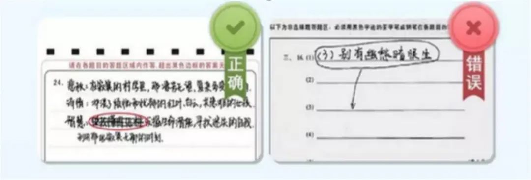 湖北高考試卷