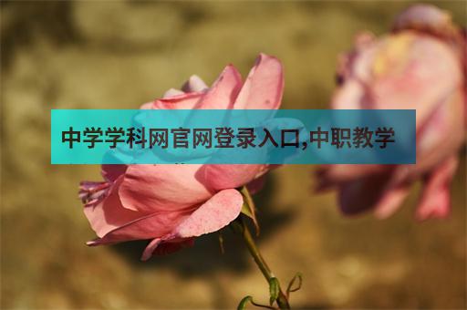 中學學科網官網登錄入口,中職教學資源網有哪些?-1
