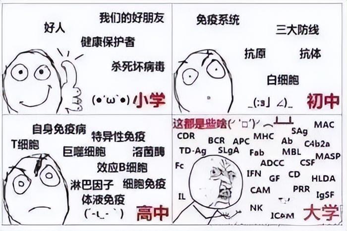 高中物理地理哪個更難學