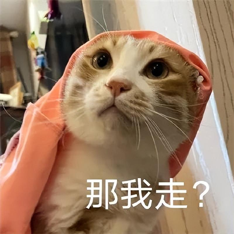 高中物理地理哪個更難學