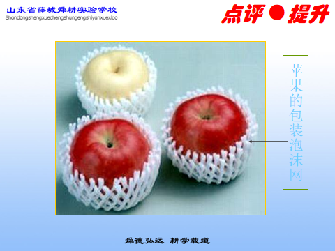 動量守恒定律教案