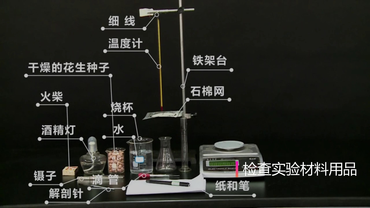 彈力做功公式