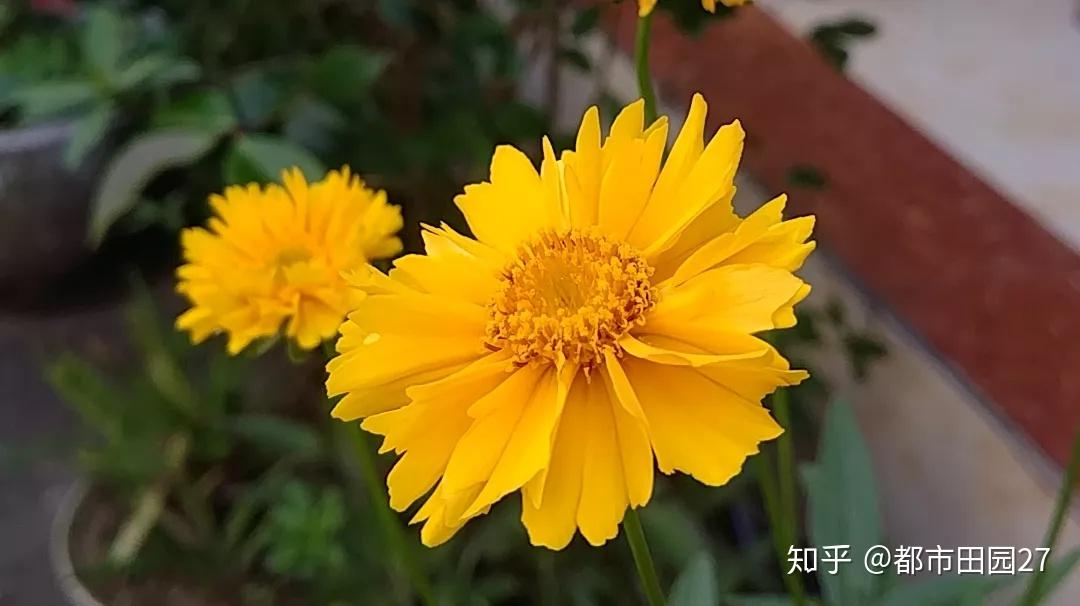 著名物理學家費曼