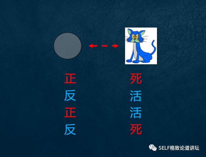 物理學家薛定諤