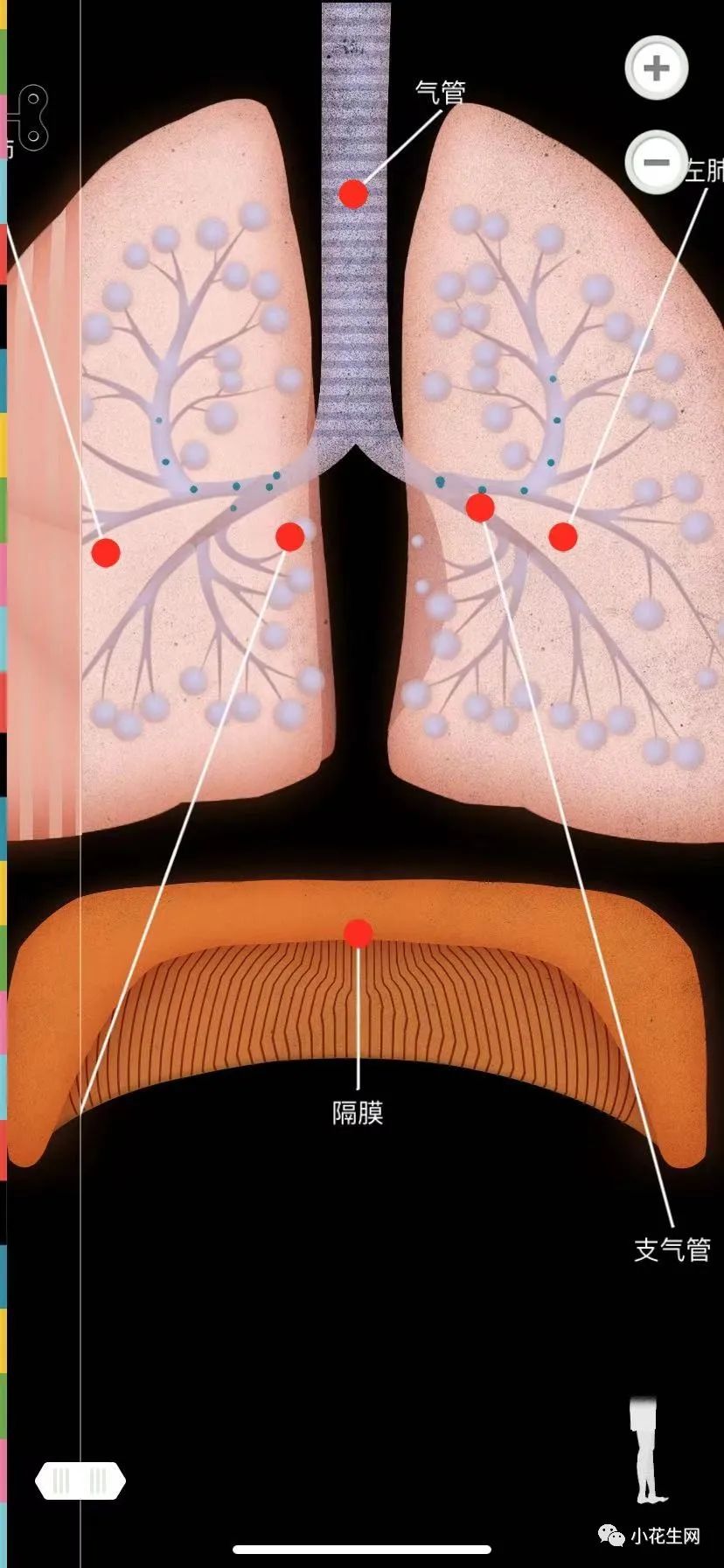 學(xué)物理最好的軟件