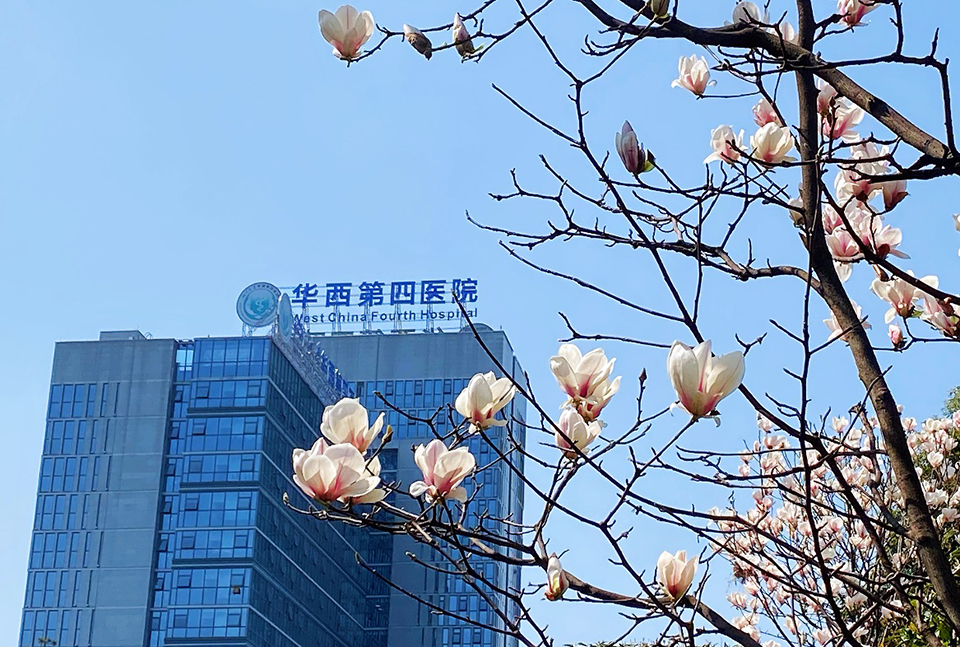 ml是什么